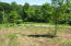 Ferguson Road Sneedville, TN 37869 - Photo 3 of 12 4816 (3)
