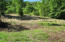 Ferguson Road Sneedville, TN 37869 - Photo 4 of 12 4816 (4)