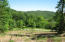 Ferguson Road Sneedville, TN 37869 - Photo 5 of 12 4816 (5)