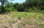 Ferguson Road Sneedville, TN 37869 - Photo 6 of 12 4816 (6)