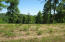 Ferguson Road Sneedville, TN 37869 - Photo 7 of 12 4816 (7)