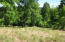 Ferguson Road Sneedville, TN 37869 - Photo 8 of 12 4816 (8)