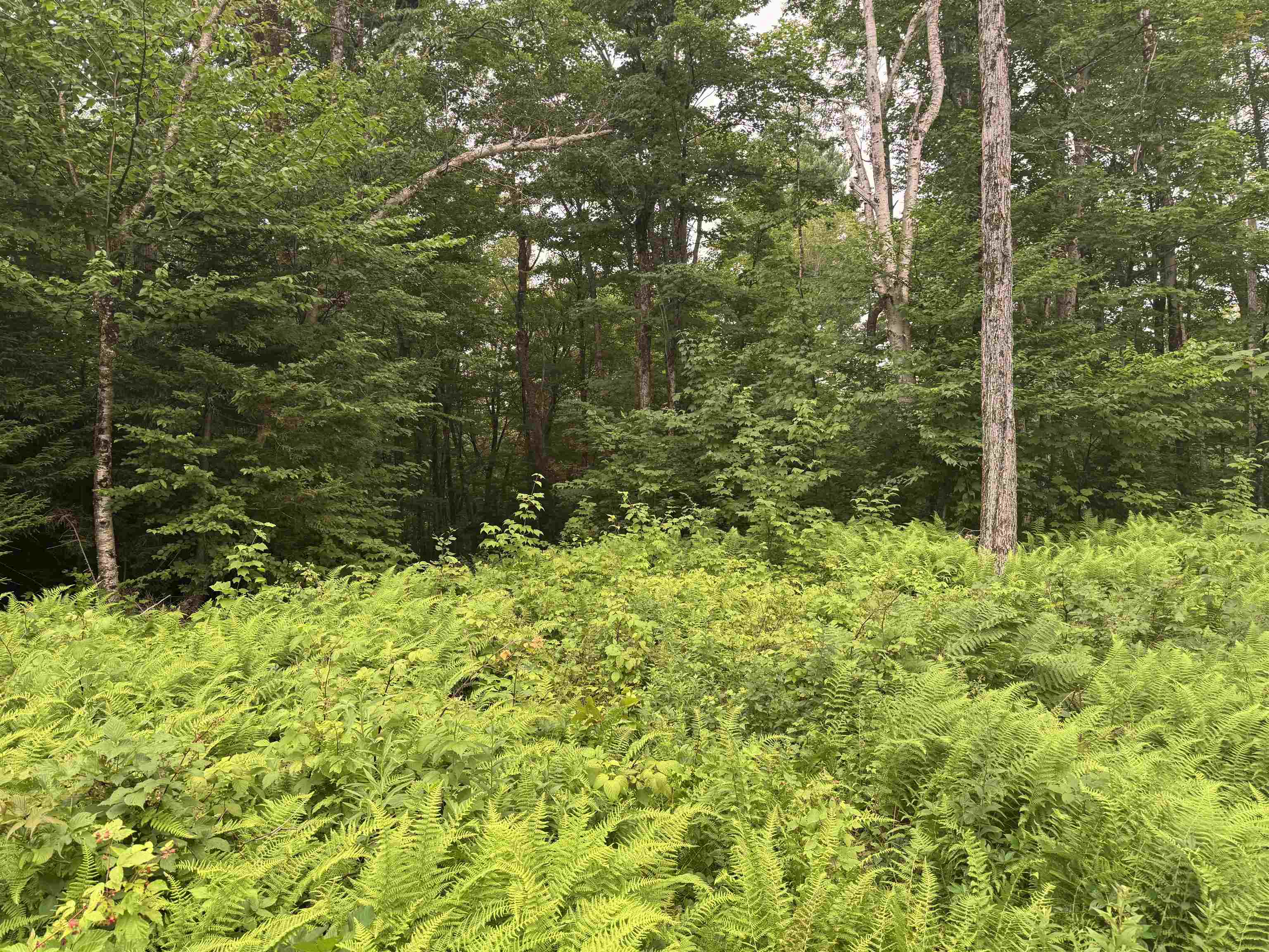 185 Valley View Road West Dover, VT 05356 - Photo 6 of 30