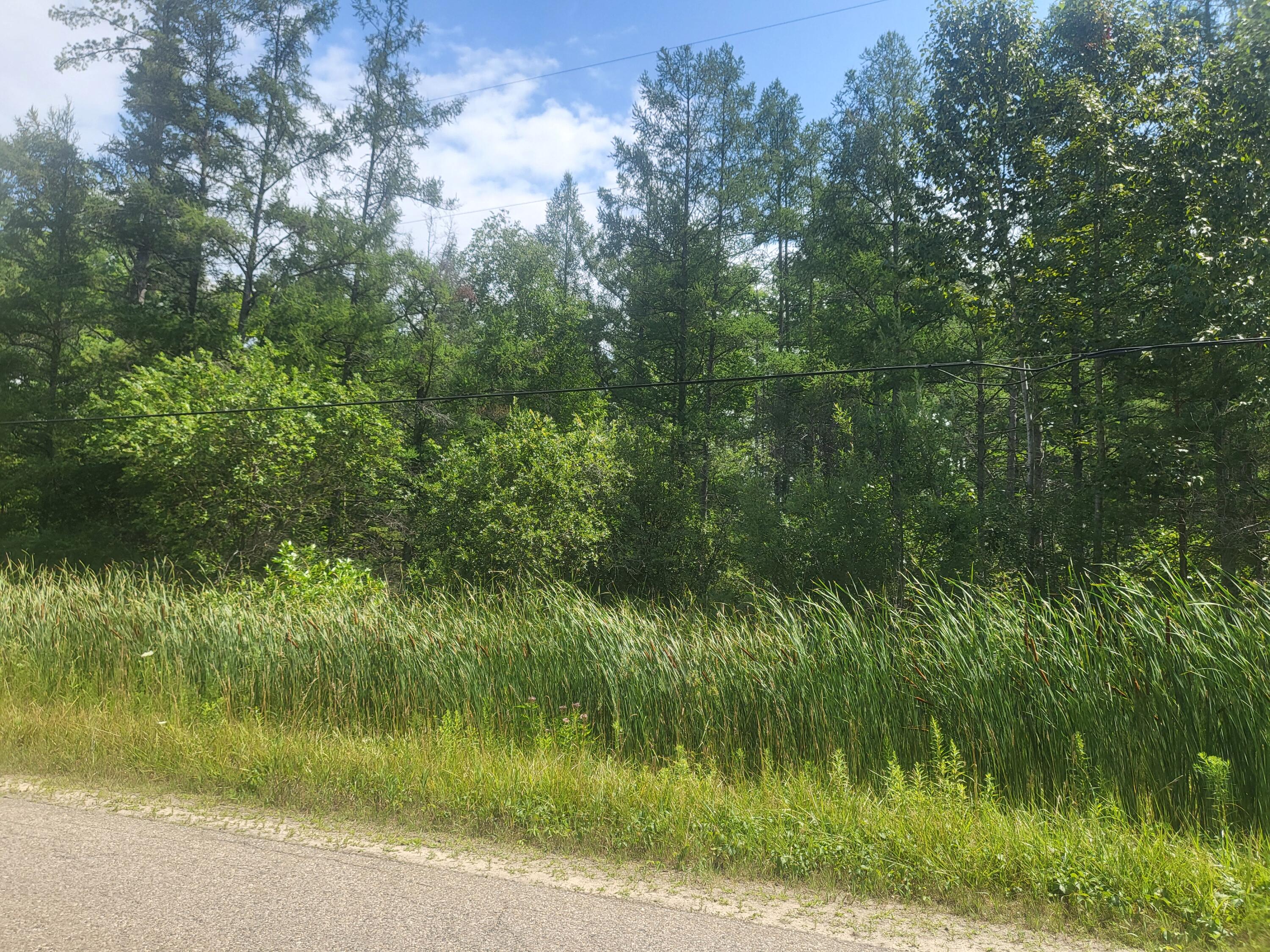 Vl Eagle Point Road Grayling, MI 49738 - Photo 5 of 8 1000026781