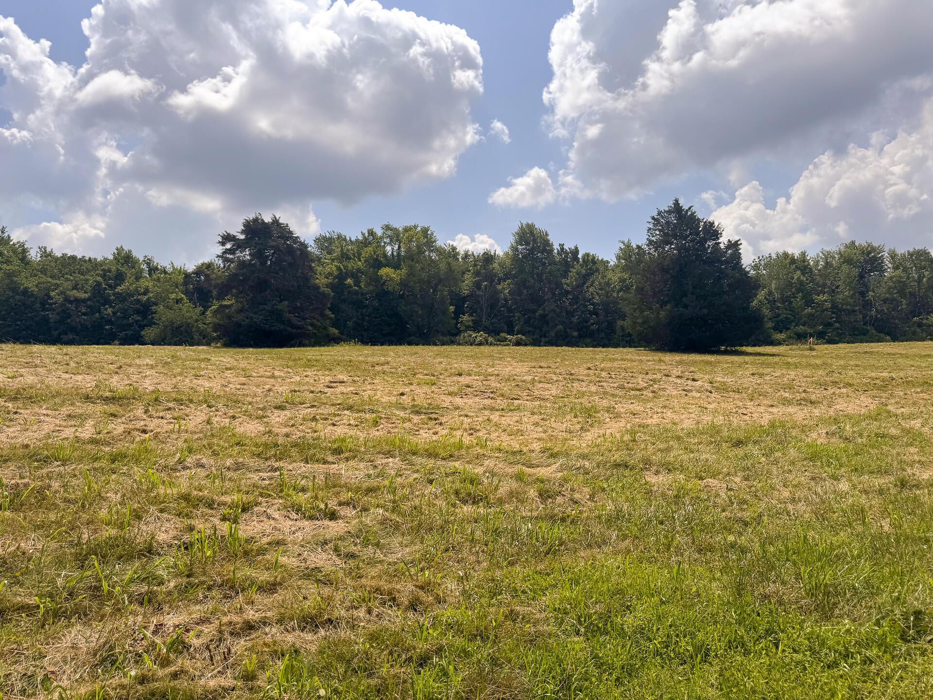 272 Golf Course Road, Unit TRACT 8 SKYLINEACRES) Waverly, OH 45690 - Photo 15 of 40 CT-15
