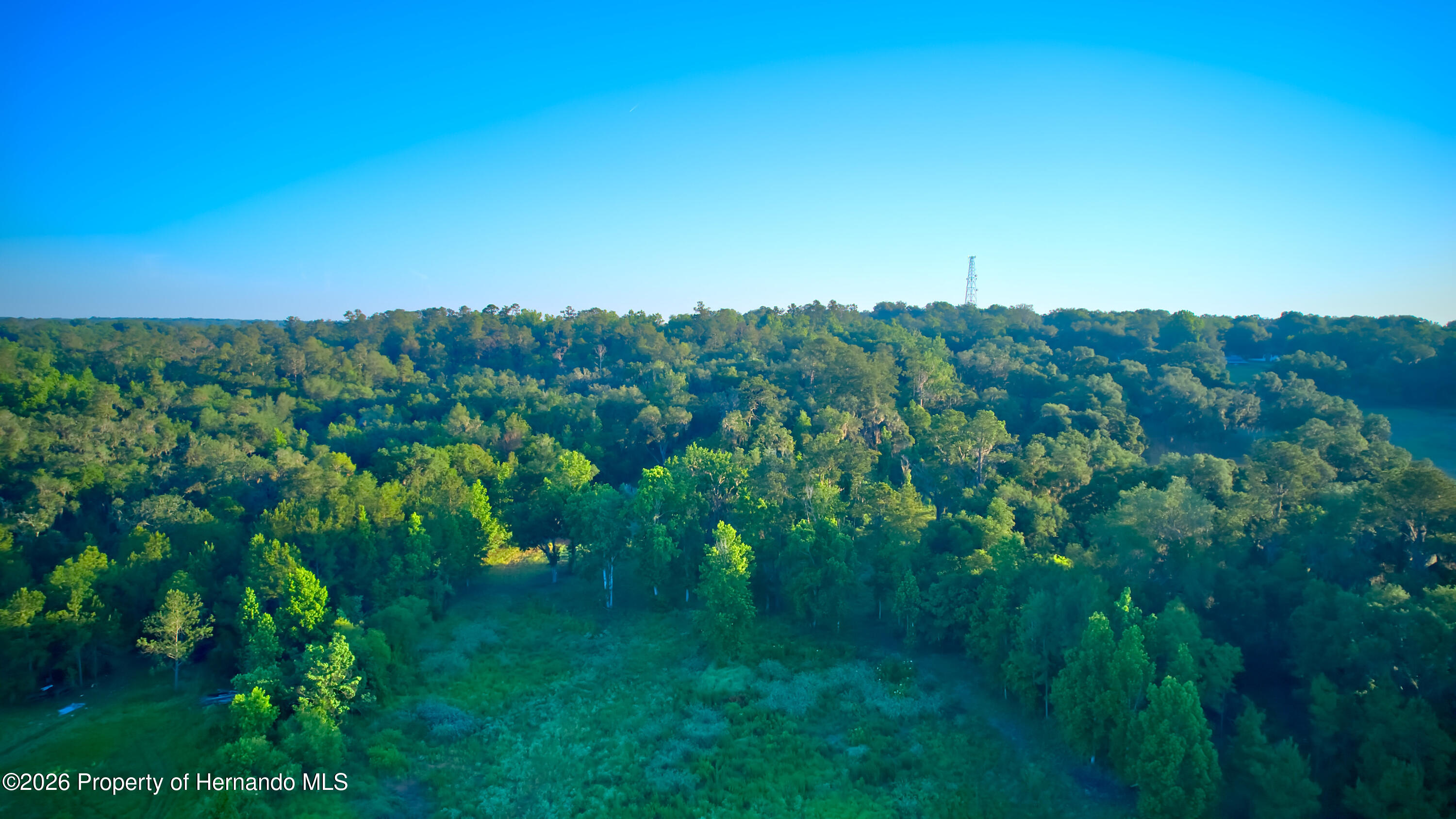 3267 Neff Lk Road Brooksville, FL 34602 - Photo 45 of 82