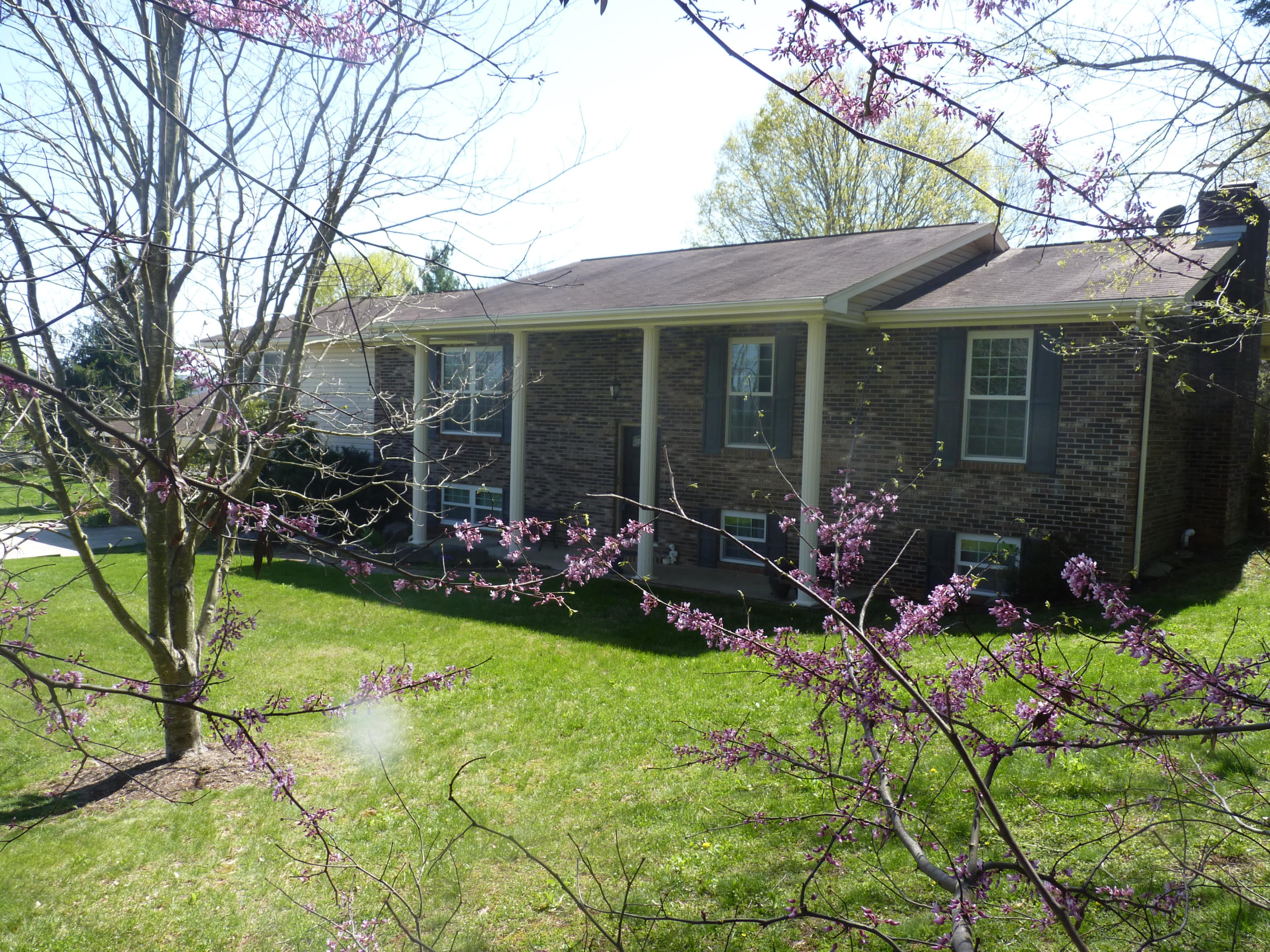 8040 Shannon Hills Road Corryton, TN 37721 - Photo 1 of 25 8040 Shannon Hills Rd 3500 sq. fts 503