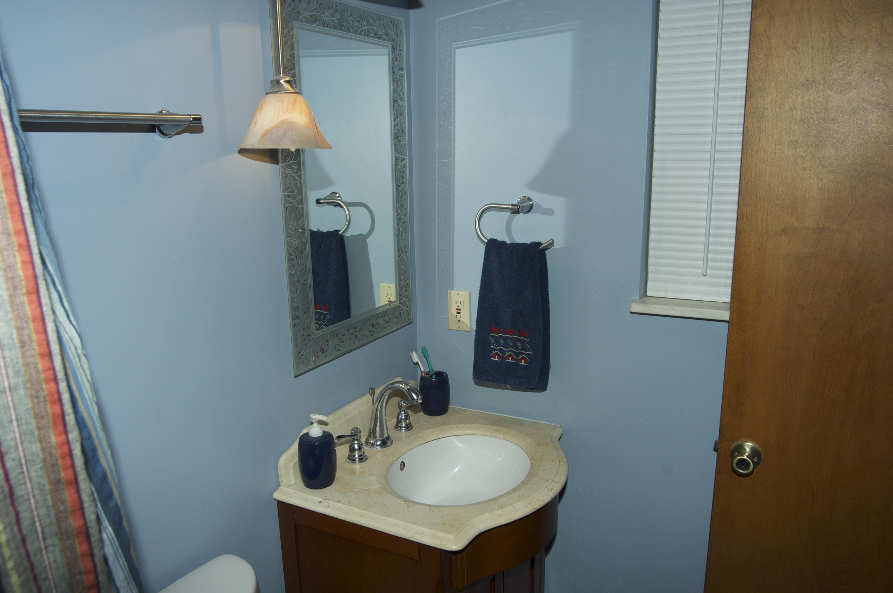 8040 Shannon Hills Road Corryton, TN 37721 - Photo 11 of 25 Renovated Master Bath