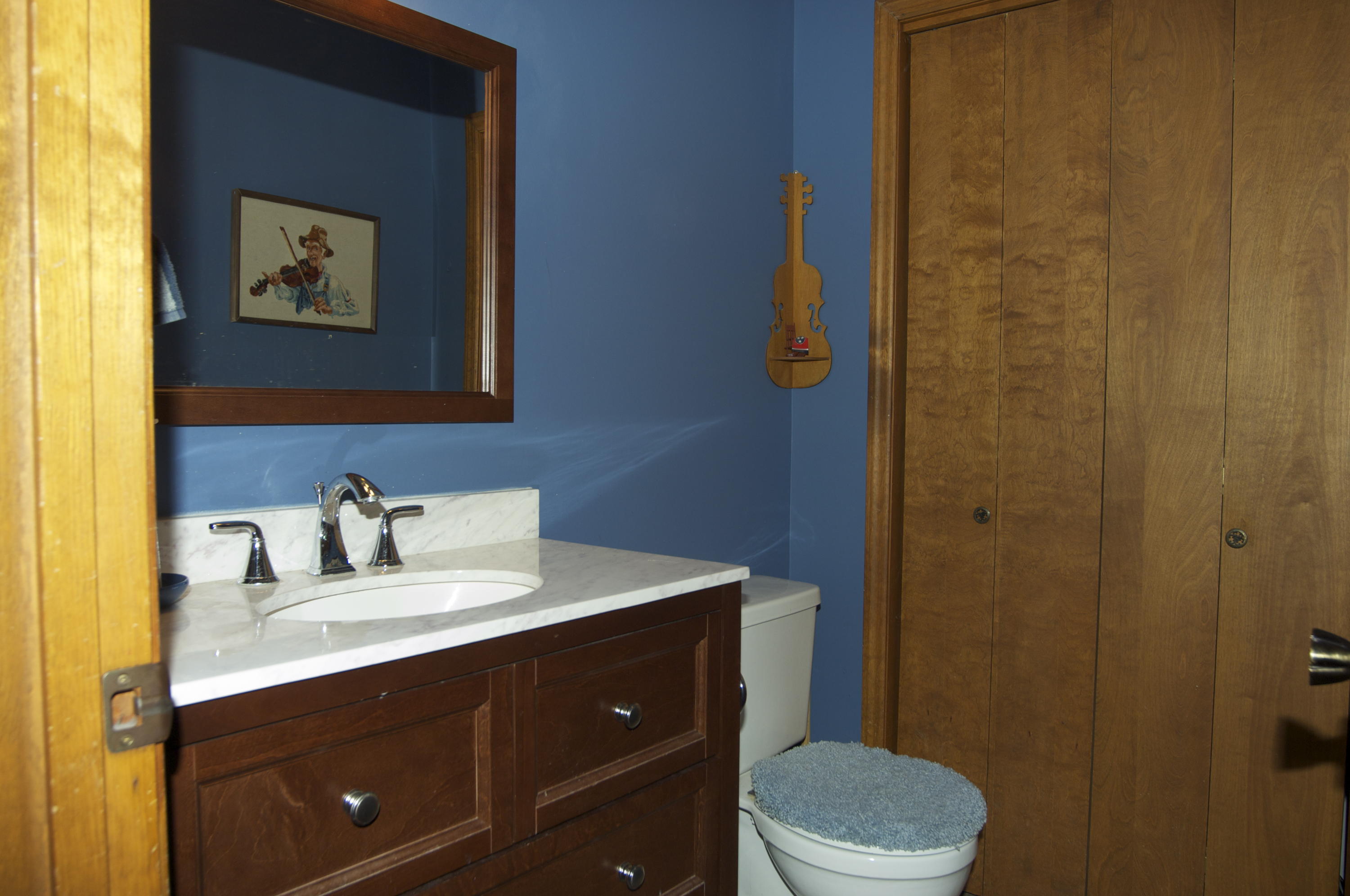 8040 Shannon Hills Road Corryton, TN 37721 - Photo 16 of 25 Bath # 3