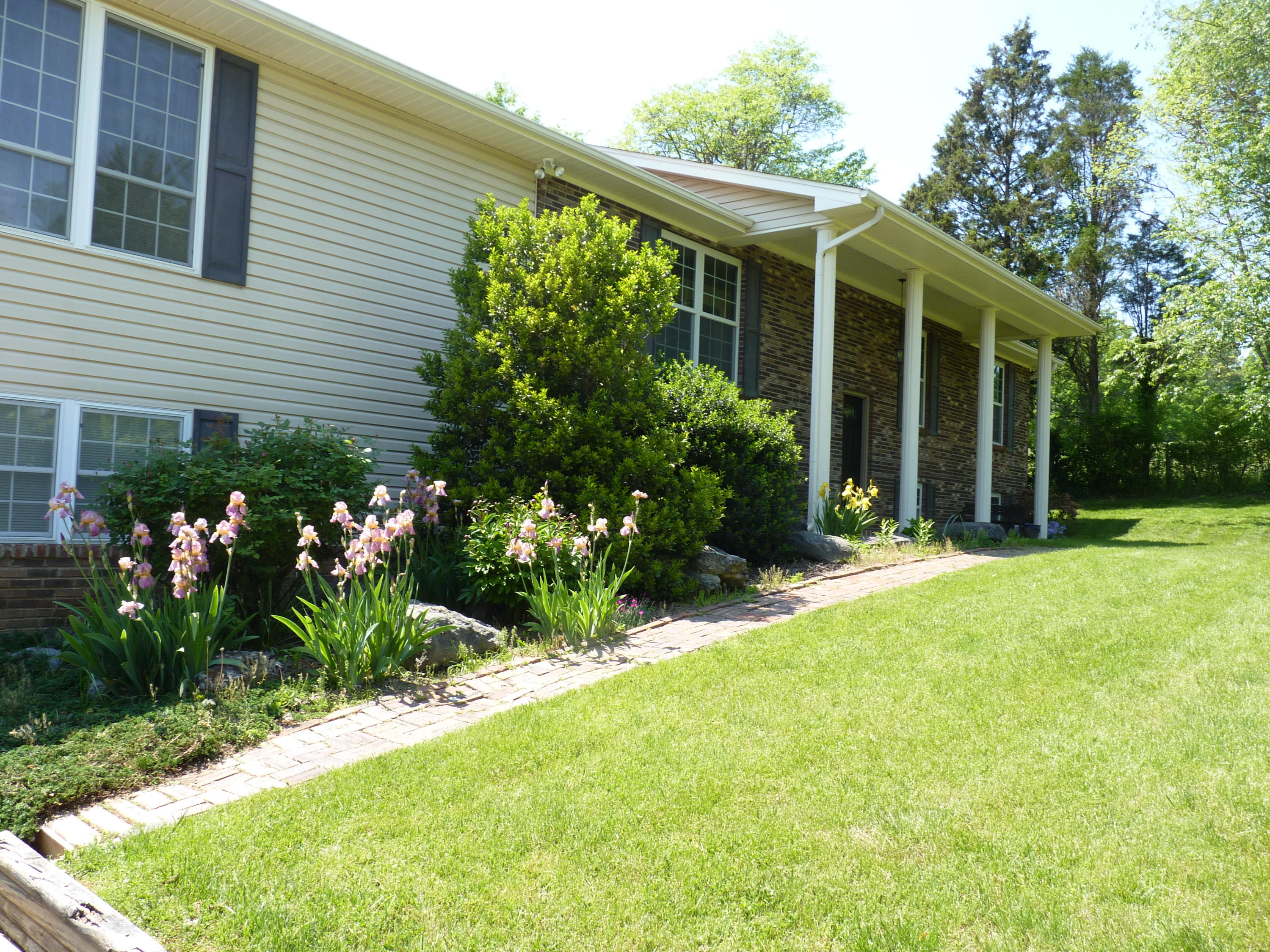 8040 Shannon Hills Road Corryton, TN 37721 - Photo 24 of 25 front view