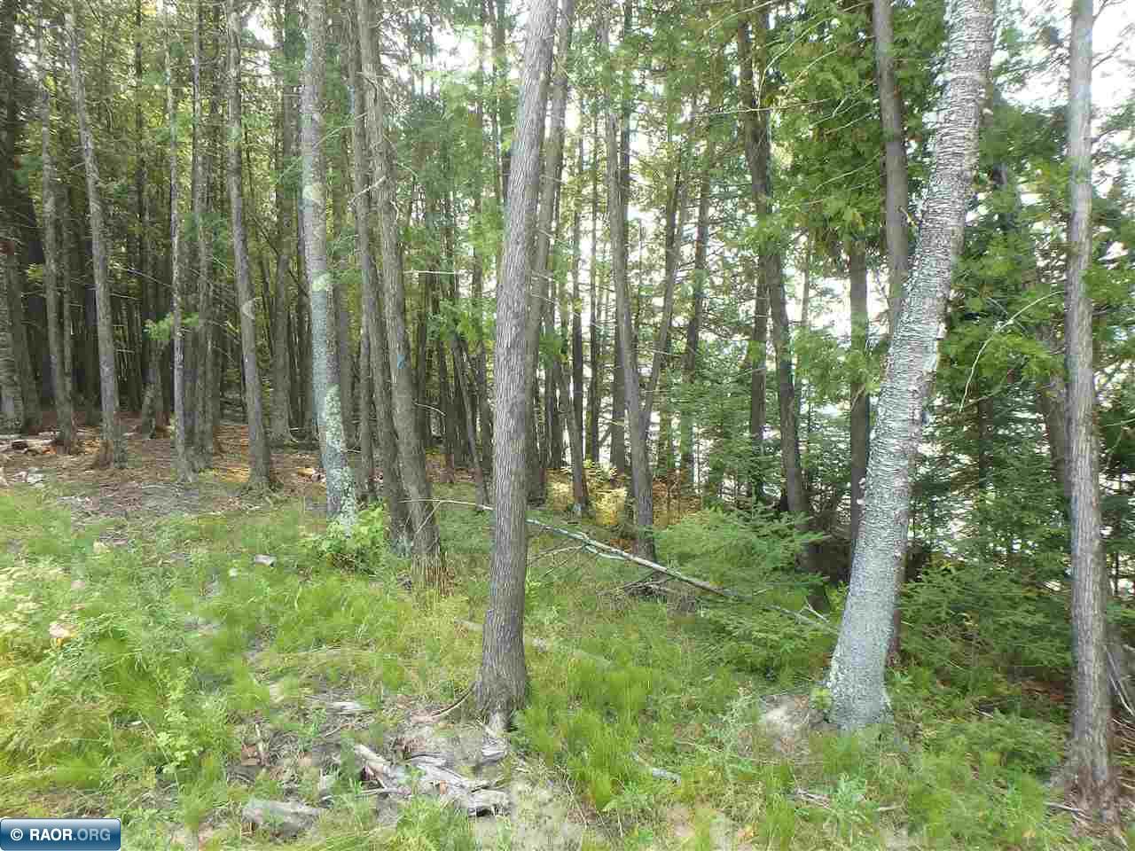 Tbd Black Duck Beach Road Orr, MN 55771 - Photo 11 of 21