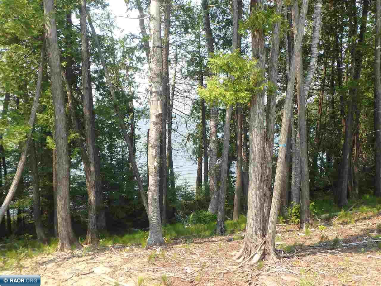 Tbd Black Duck Beach Road Orr, MN 55771 - Photo 12 of 21