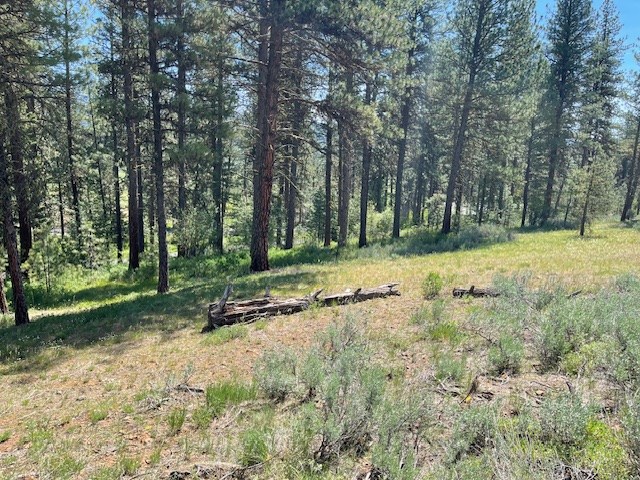 Lot 23 Hot Springs Road, Unit 23 New Meadows, ID 83654 - Photo 6 of 10