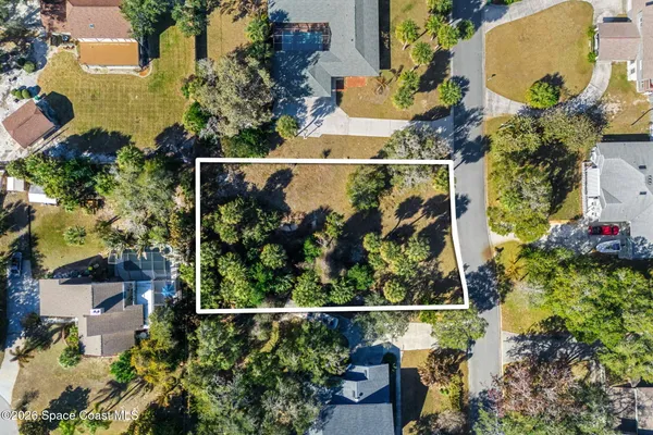 a view of yard with tree