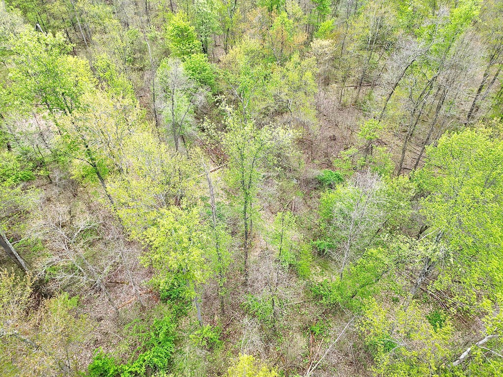 0 Long Point Road Rimersburg, PA 16248 - Photo 12 of 22 Gallery Image 12