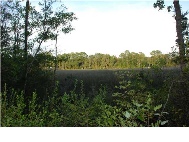 Lot 5 Apple Ct Point Santa Rosa Beach, FL 32459 - Photo 3 of 3 Gallery Image 3