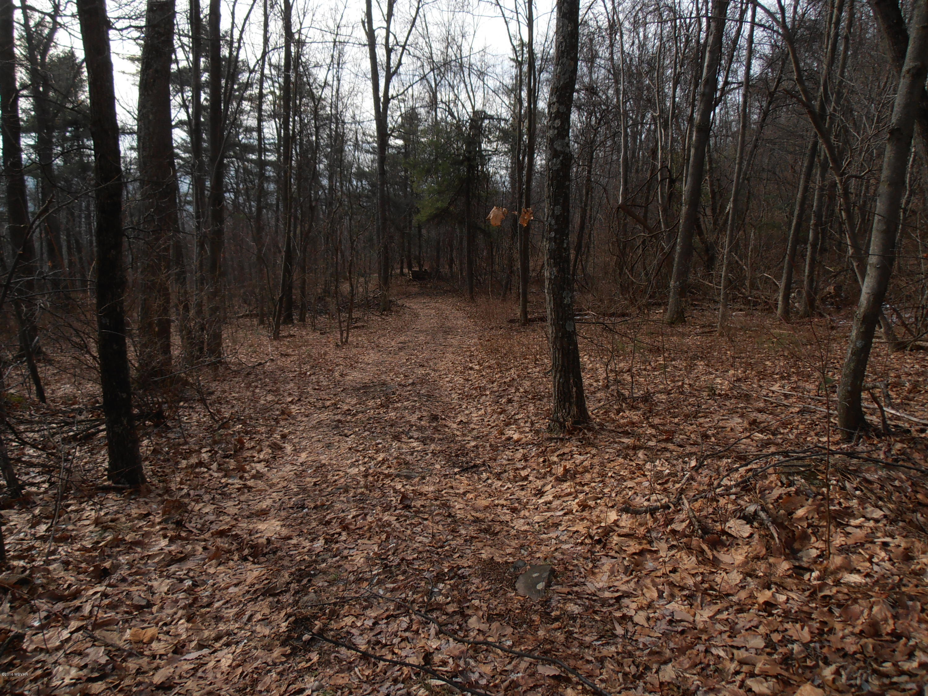 504 Furnace Run Road Jersey Shore, PA 17740 - Photo 32 of 36 PATCH PHOTOS 019