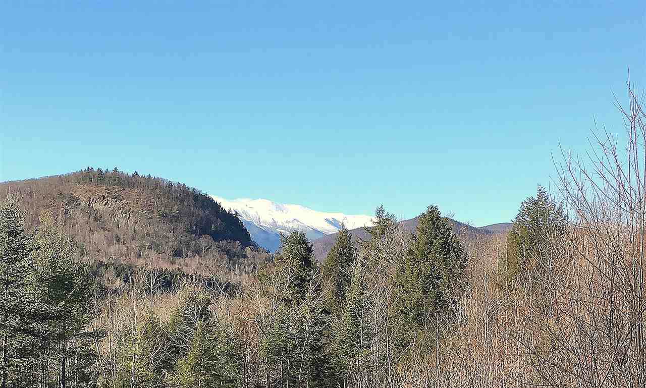 13 Christmas Mountain Road, Unit D13 Intervale, NH 03845 - Photo 40 of 40 Gallery Image 40