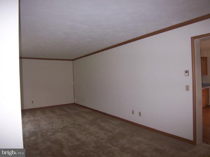 3087 Hourglass Road Hartly, DE 19953 - Photo 2 of 22 Living Room