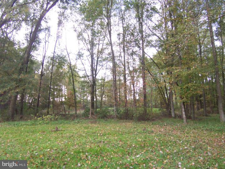 3087 Hourglass Road Hartly, DE 19953 - Photo 20 of 22 View from Front Door