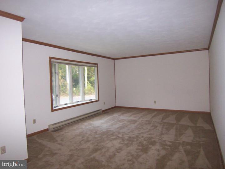 3087 Hourglass Road Hartly, DE 19953 - Photo 3 of 22 Living Room