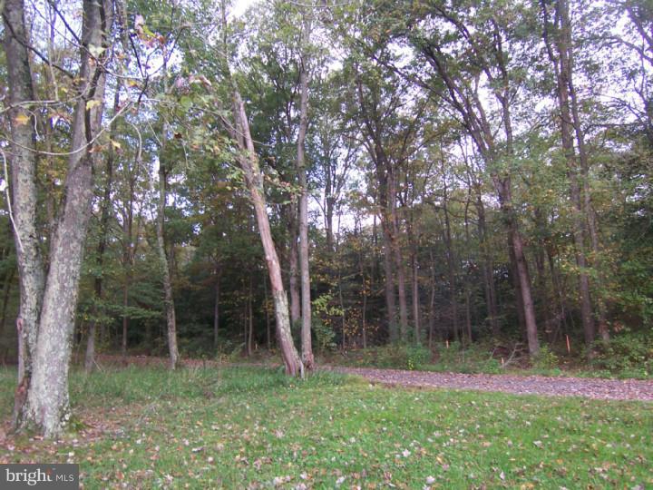 3087 Hourglass Road Hartly, DE 19953 - Photo 21 of 22 View from Front Door