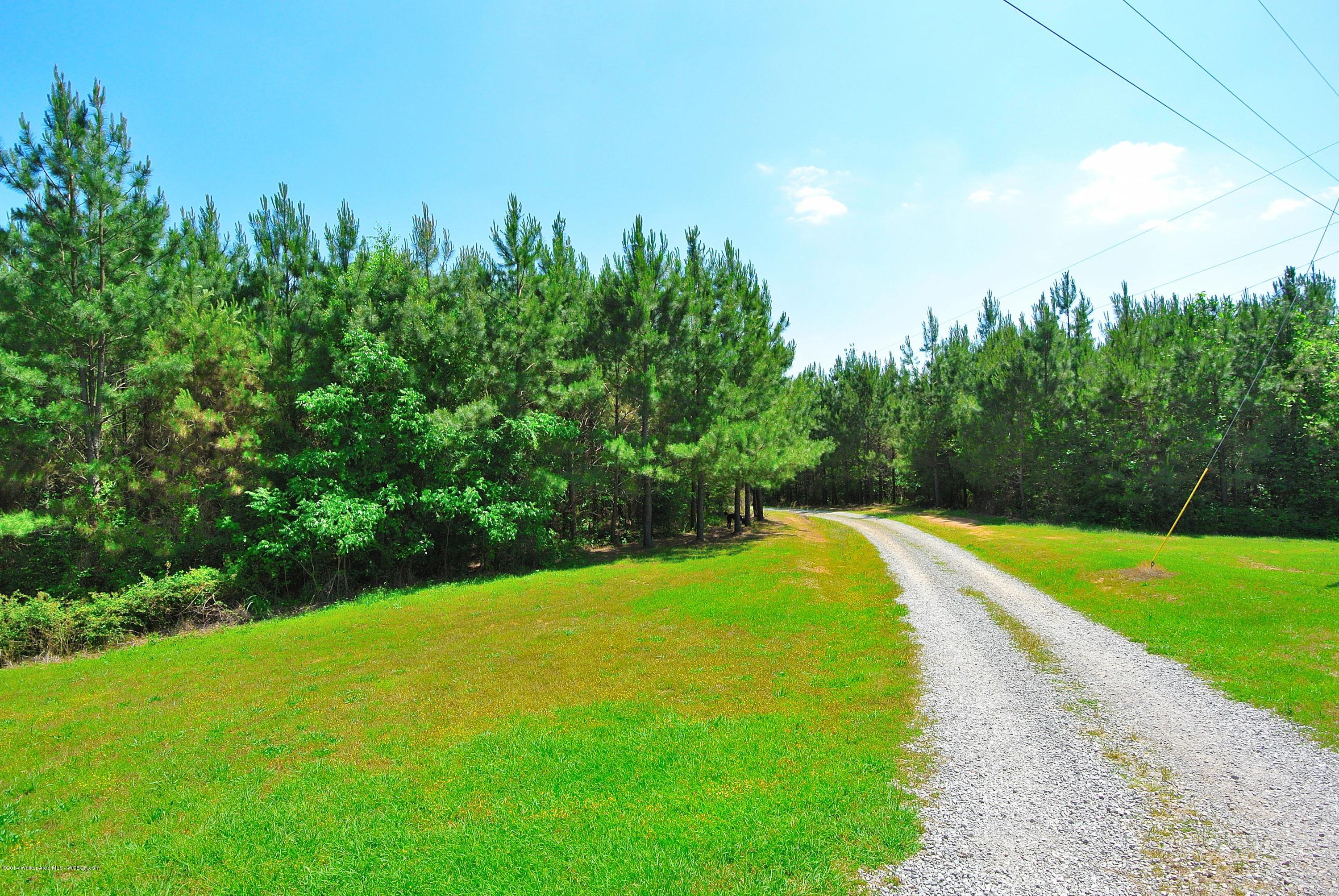 640 Dutton Hill Road Oakman, AL 35579 - Photo 4 of 26 Gallery Image 4