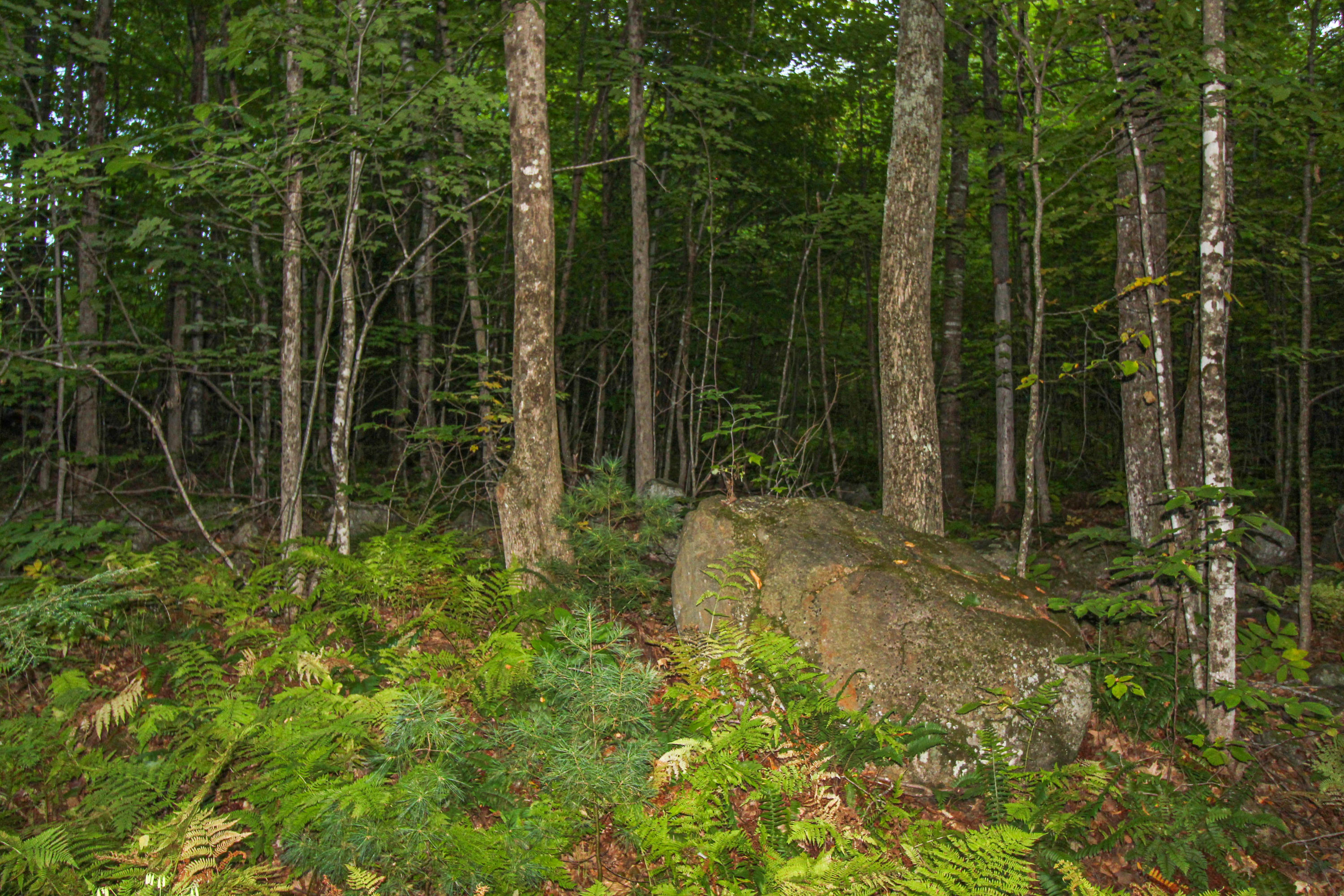 Lot 7 Pound Hill Road Cornish, ME 04020 - Photo 17 of 25 Rock Walls