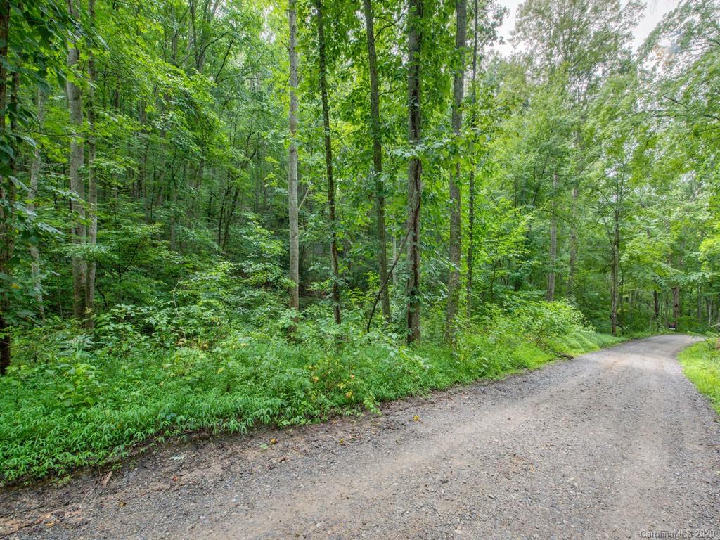 Lot#3 Mary Ruth Way Clyde, NC 28721 - Photo 8 of 12 a view of a forest with a street