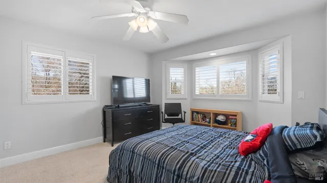 a view of a swimming pool with lounge chairs
