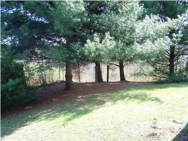 784 Old Dunlap Road Spencer, TN 38585 - Photo 10 of 10 Additional Photo