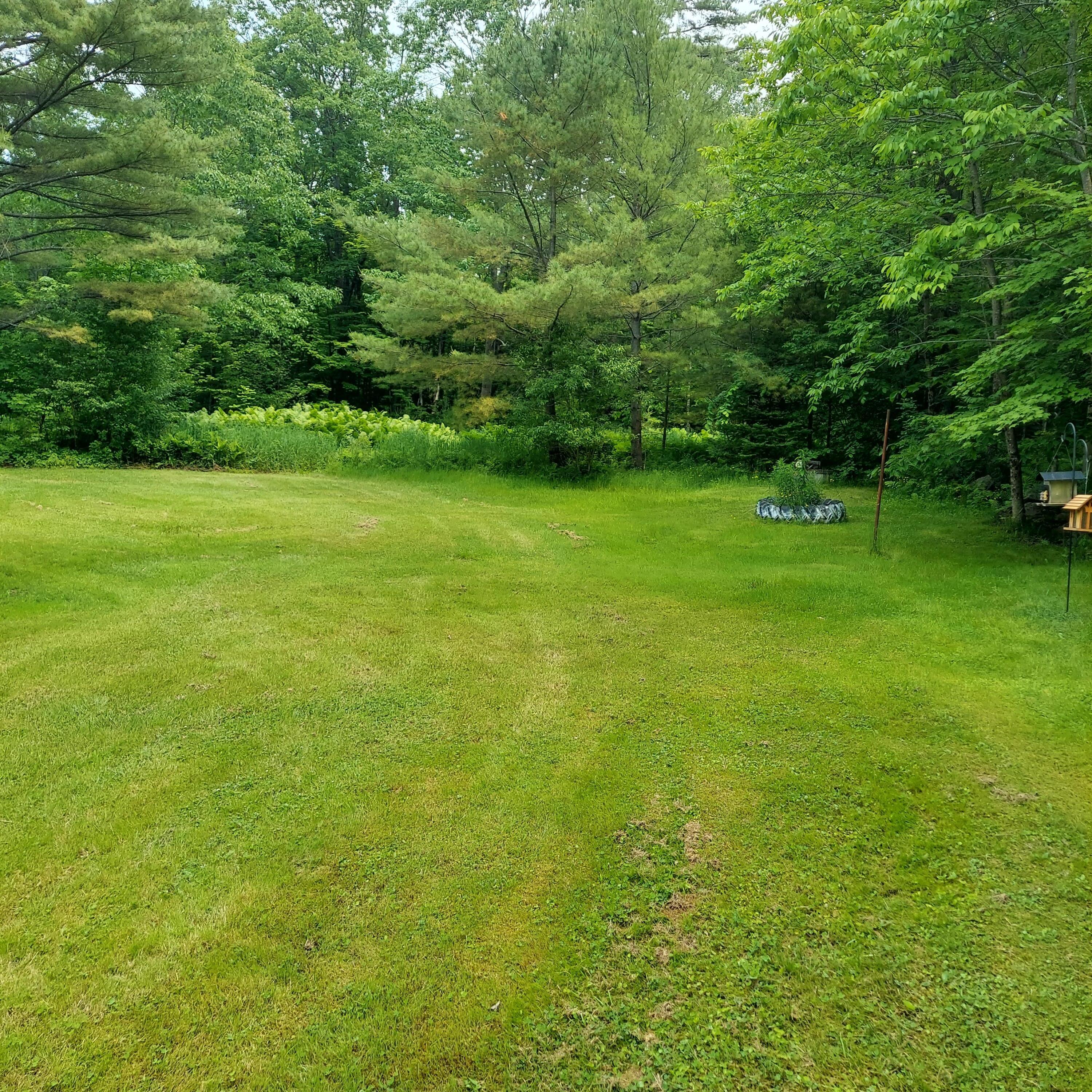 840 South Strong Road Strong, ME 04983 - Photo 35 of 41 20230616_140448