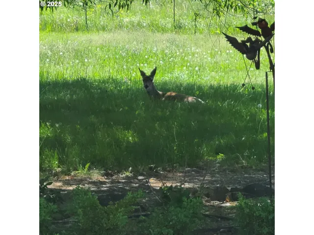 $950,000 | 62111 Lakeview Lane, La Grande, OR 97850