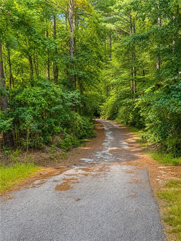 2008 Brooks Road Southeast Dacula, GA 30019 - Photo 18 of 19 Gallery Image 18