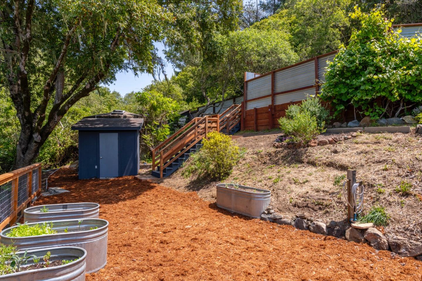 18050 Highway 1 Marshall, CA 94940 - Photo 48 of 65 a view of a backyard with plants and large trees