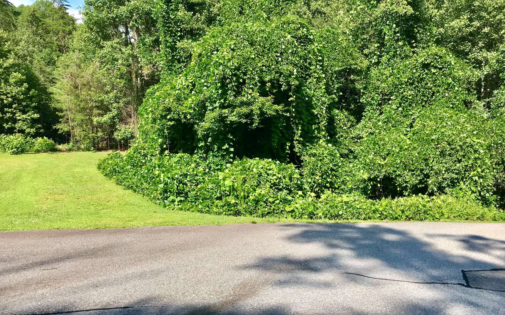 Lot4 Huntington Ridge Road Blairsville, GA 30512 - Photo 1 of 1 Main View