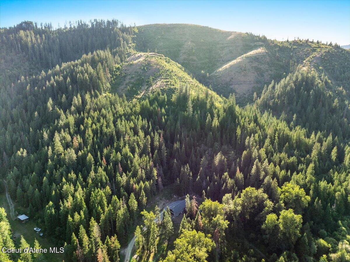 17727 South Bull Run Road Cataldo, ID 83810 - Photo 66 of 72 69-17727 S Bull Run Rd_RedHogMedia