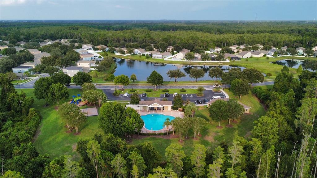 12554 White Bluff Road Hudson, FL 34669 - Photo 3 of 60