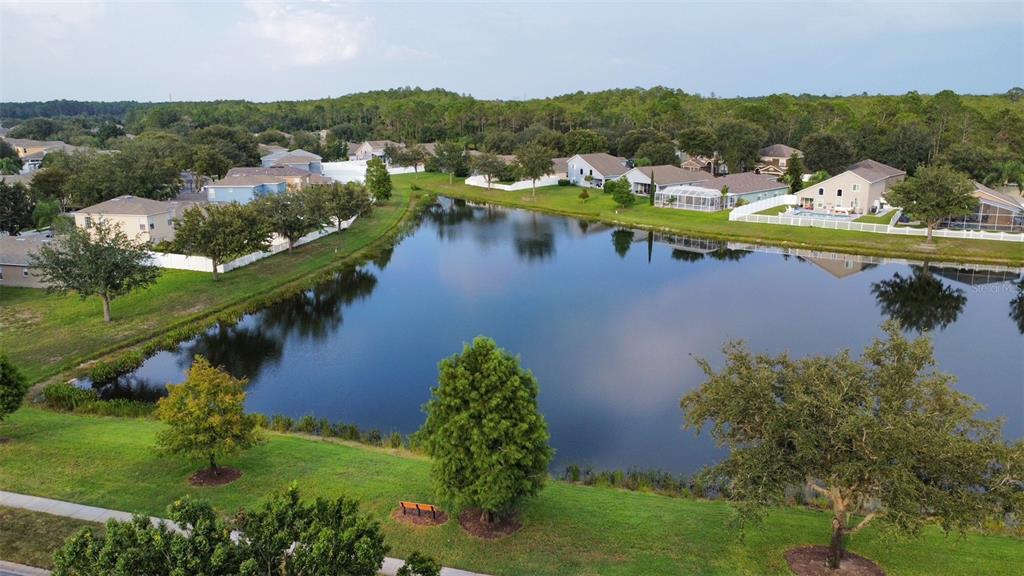 12554 White Bluff Road Hudson, FL 34669 - Photo 49 of 60