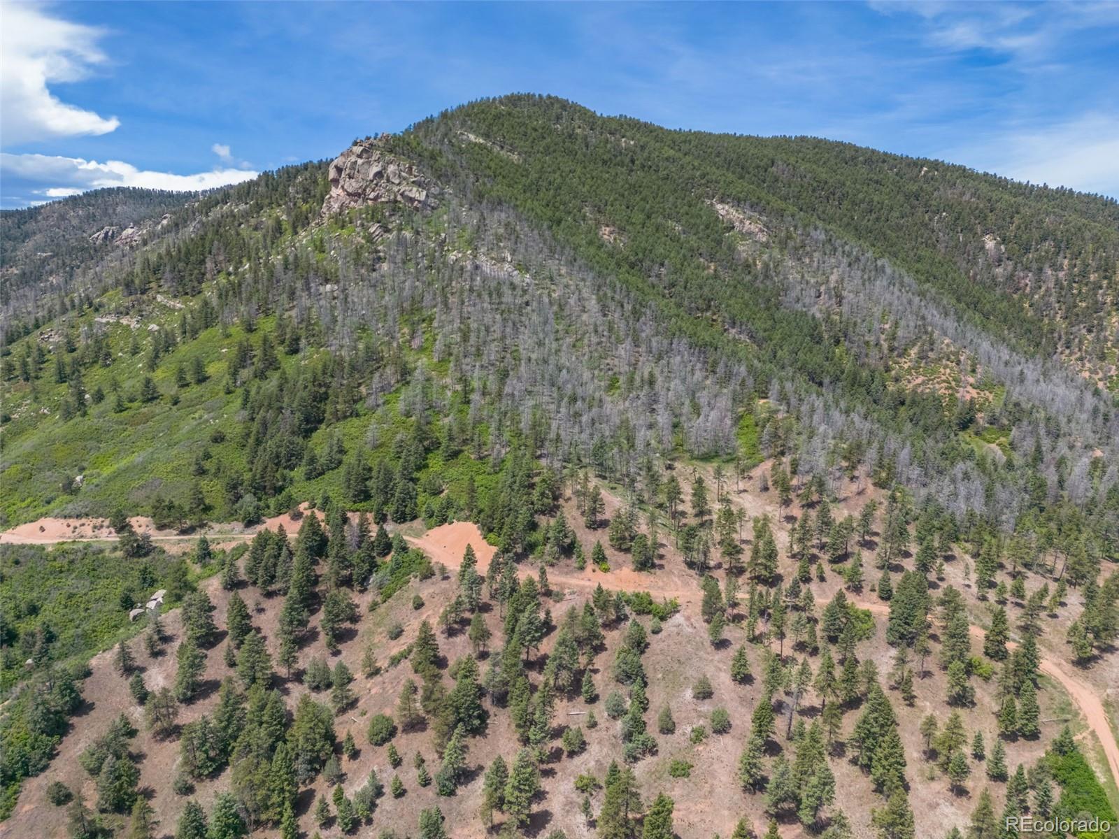 5881 Pawnee Road Larkspur, CO 80118 - Photo 11 of 11