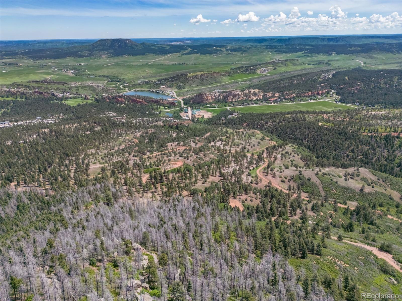 5881 Pawnee Road Larkspur, CO 80118 - Photo 2 of 11