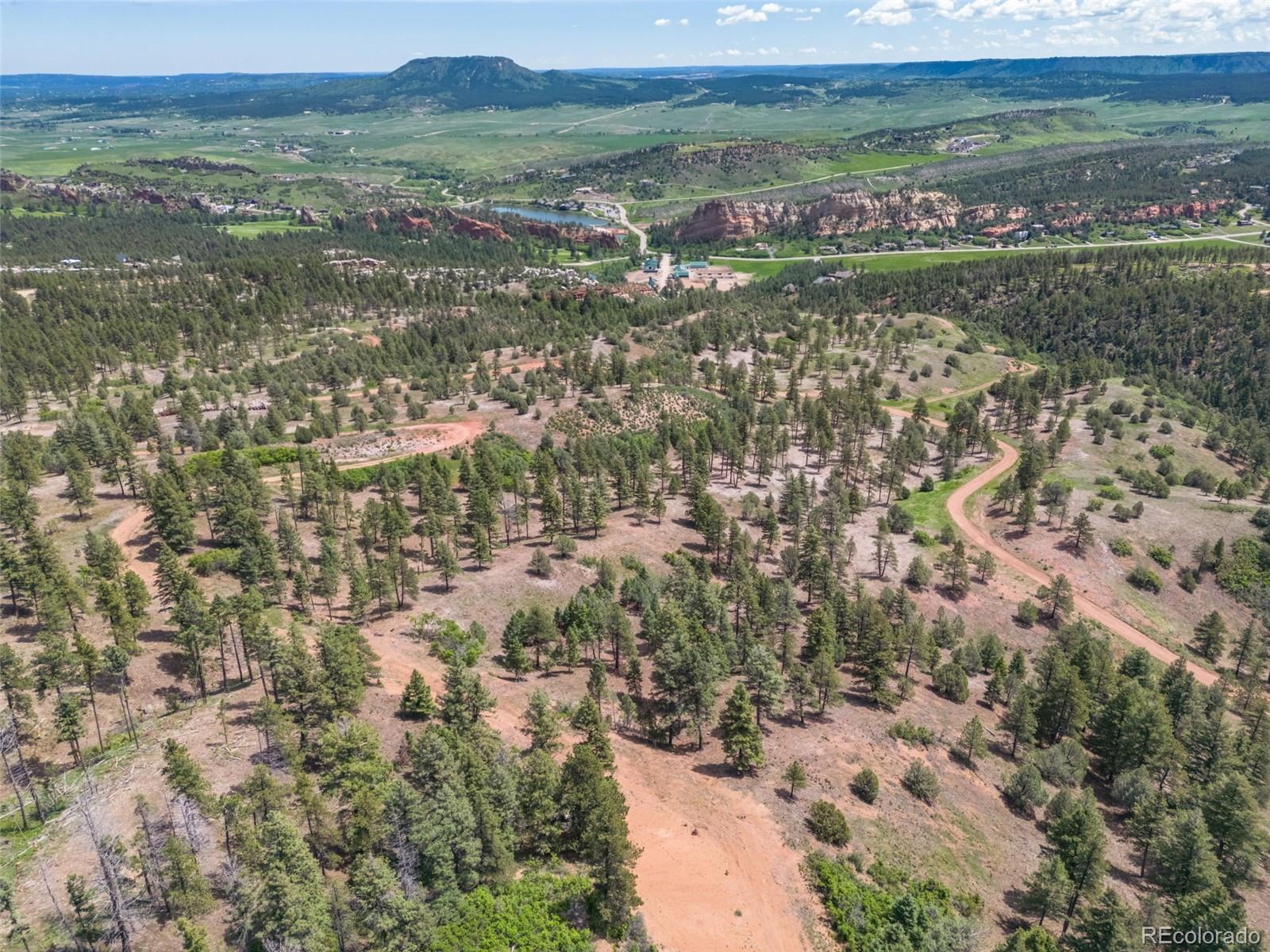 5881 Pawnee Road Larkspur, CO 80118 - Photo 6 of 11