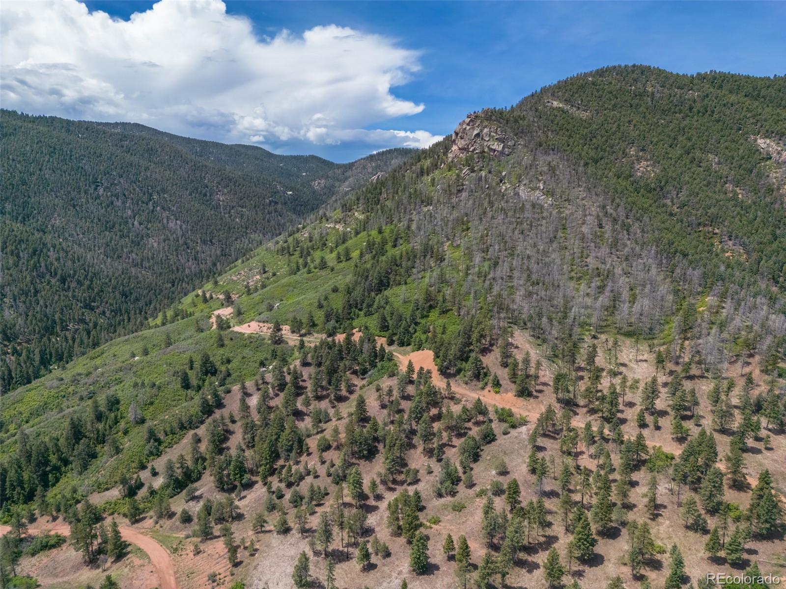 5881 Pawnee Road Larkspur, CO 80118 - Photo 10 of 11