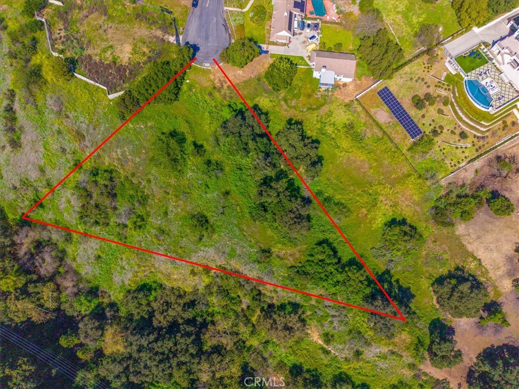 22303 Broken Twig Road Diamond Bar, CA 91765 - Photo 4 of 25 a view of a yard with plants