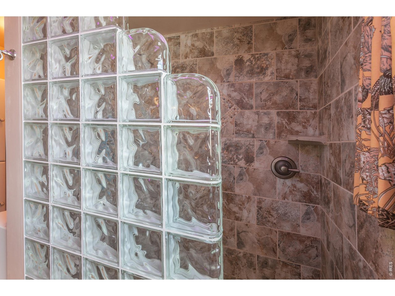2629 Terry Lake Road Fort Collins, CO 80524 - Photo 28 of 47 Shower in guest bathroom (upper level)