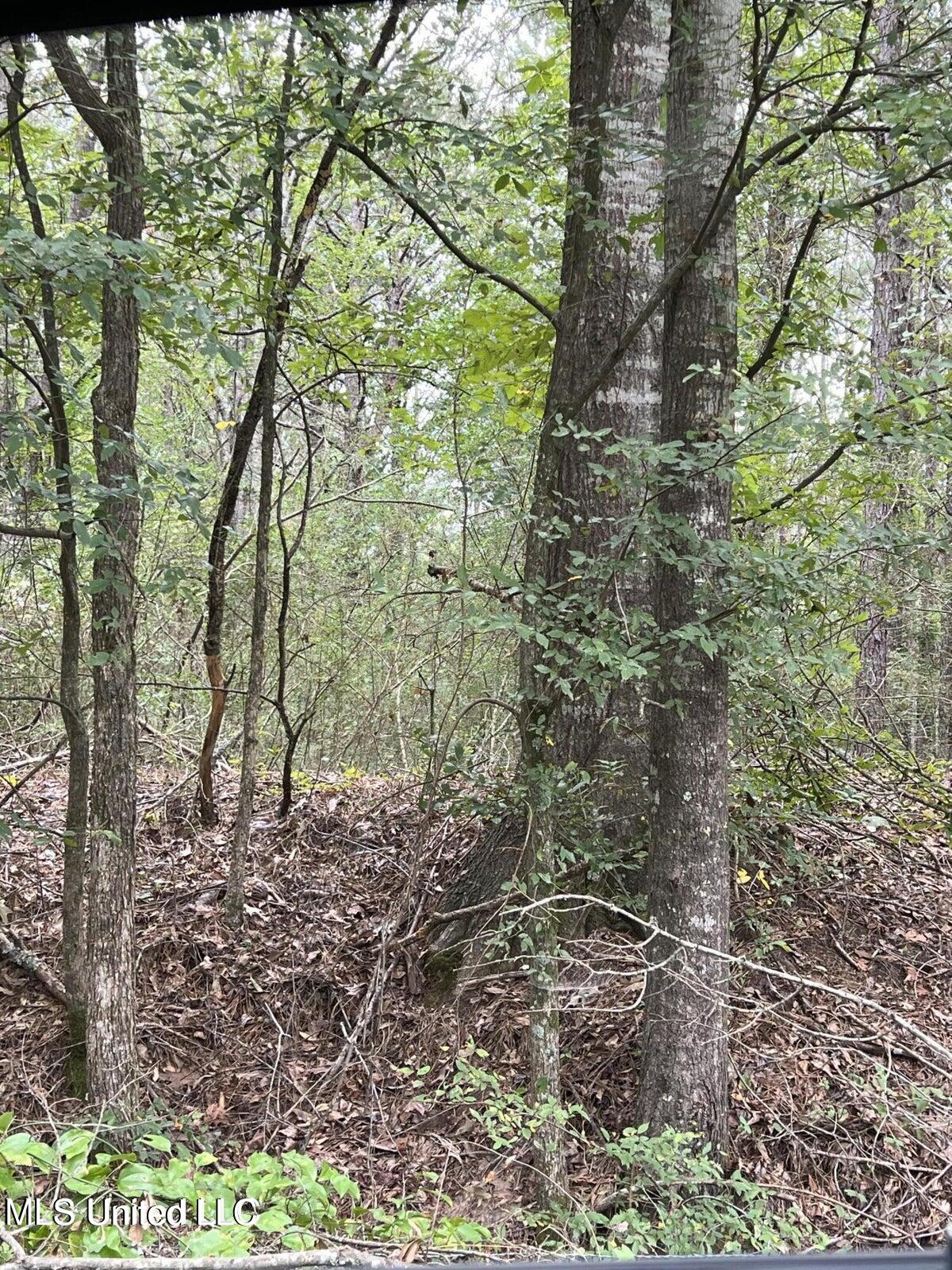 0 Dunn Road Terry, MS 39170 - Photo 2 of 6 Dunn Rd 4