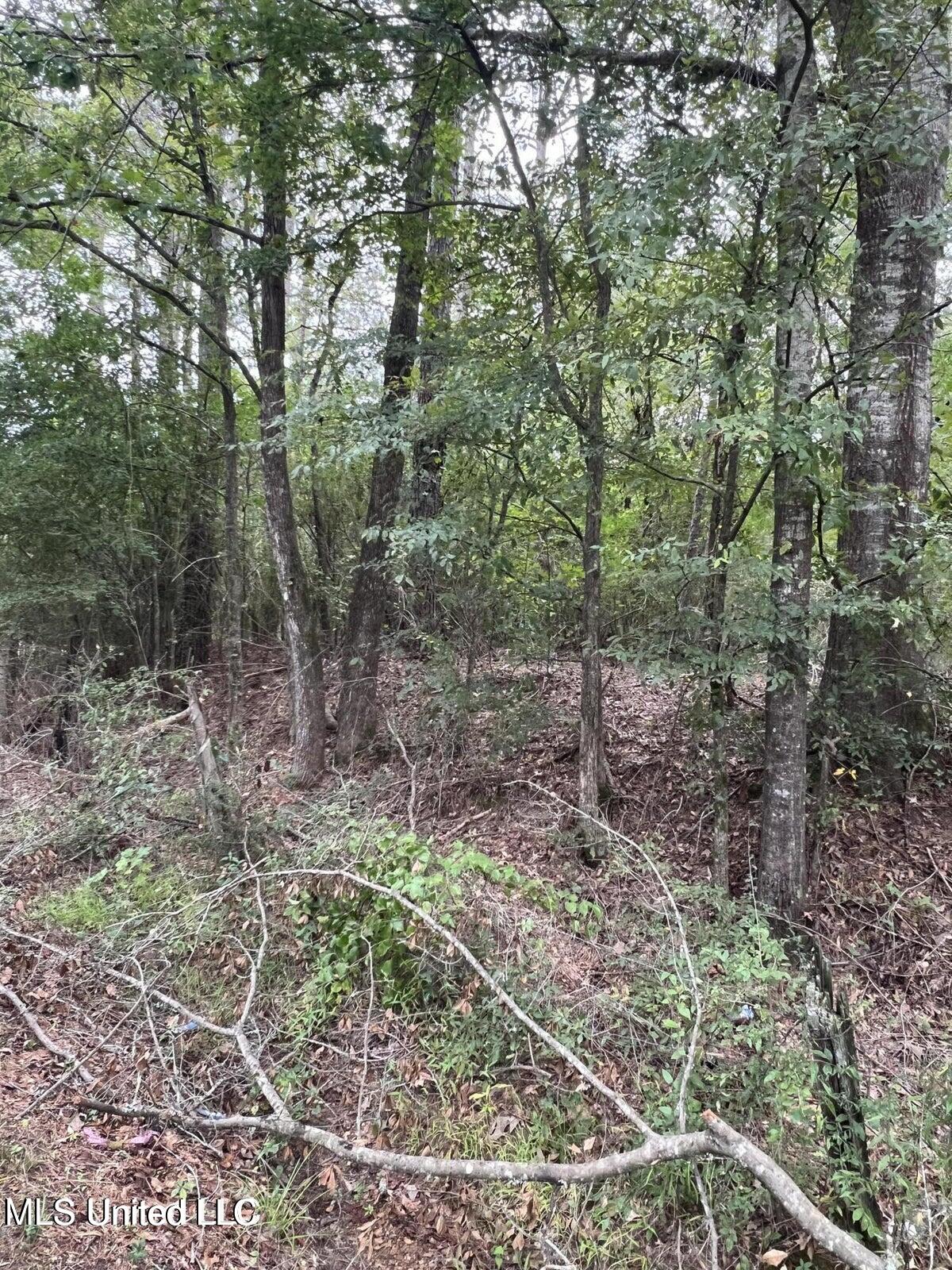 0 Dunn Road Terry, MS 39170 - Photo 3 of 6 Dunn Rd 3