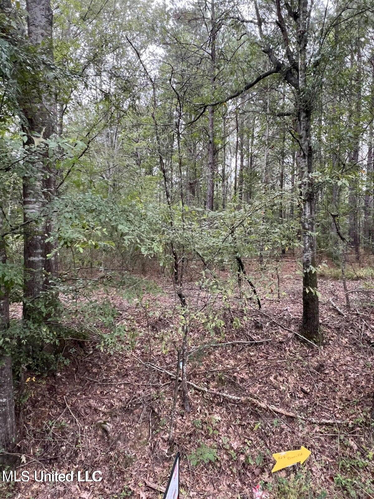 0 Dunn Road Terry, MS 39170 - Photo 4 of 6 Dunn Rd 2