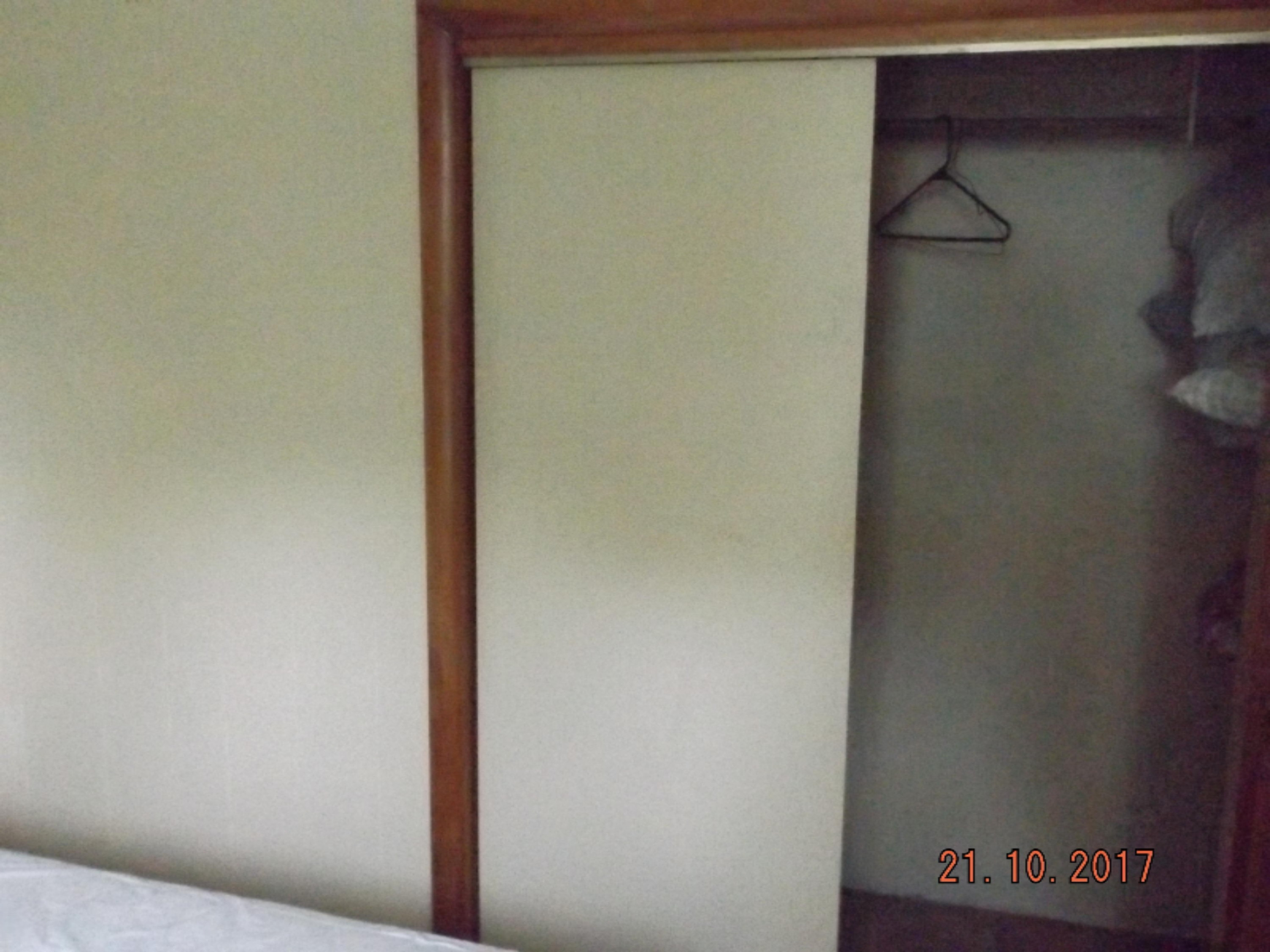 2625 Hemlock Road Quincy, MI 49082 - Photo 18 of 29 Bedroom Closet