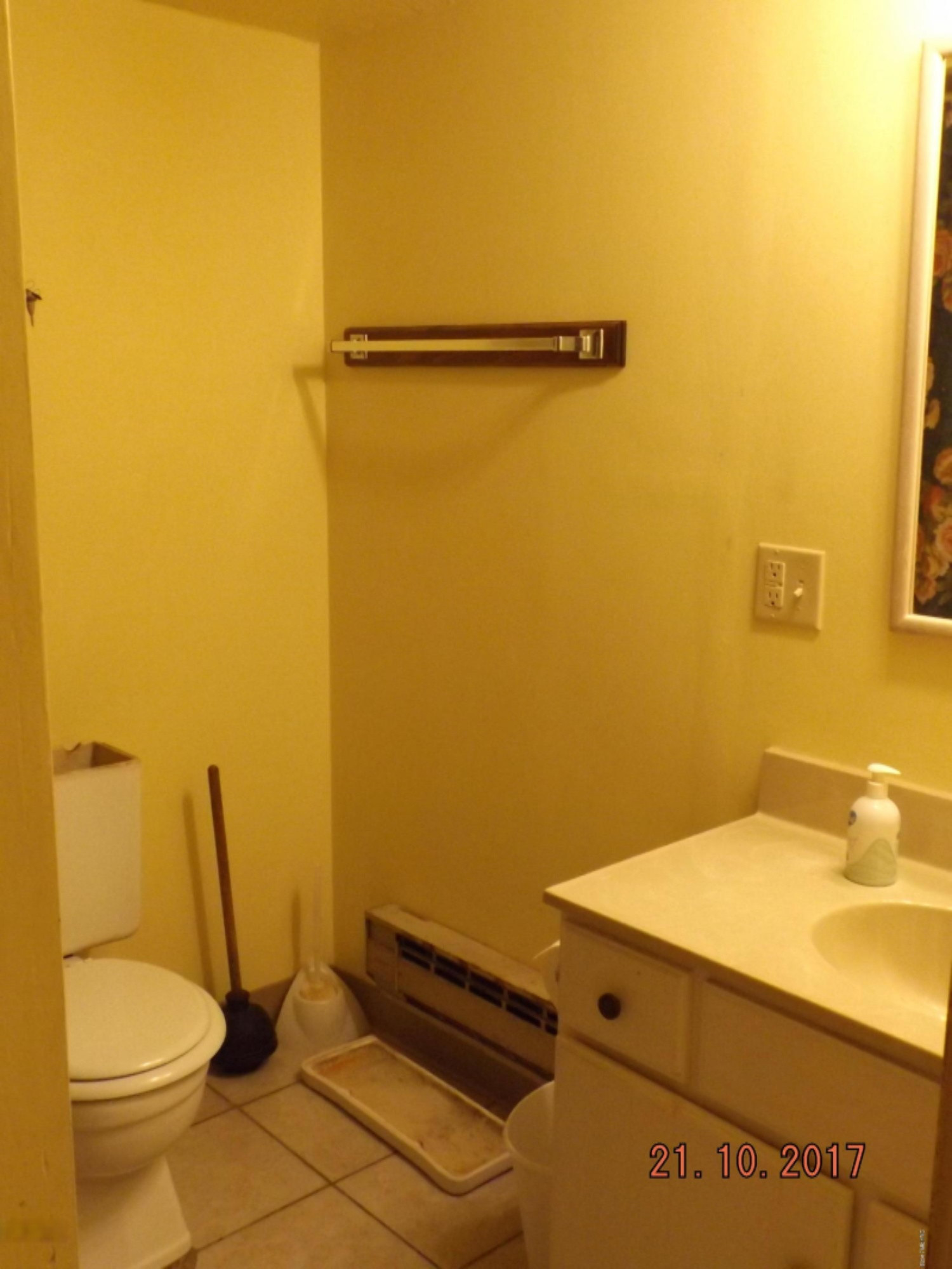 2625 Hemlock Road Quincy, MI 49082 - Photo 19 of 29 Full Bath